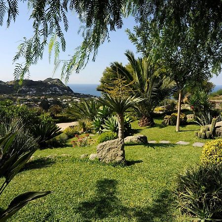 Casa Ischitana Leilighet Forio di Ischia Eksteriør bilde