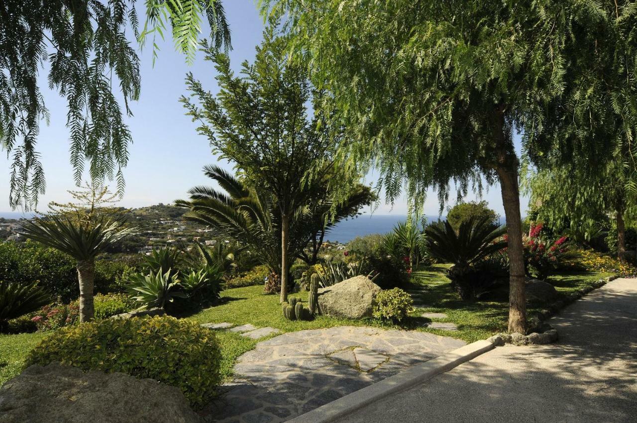 Casa Ischitana Leilighet Forio di Ischia Eksteriør bilde