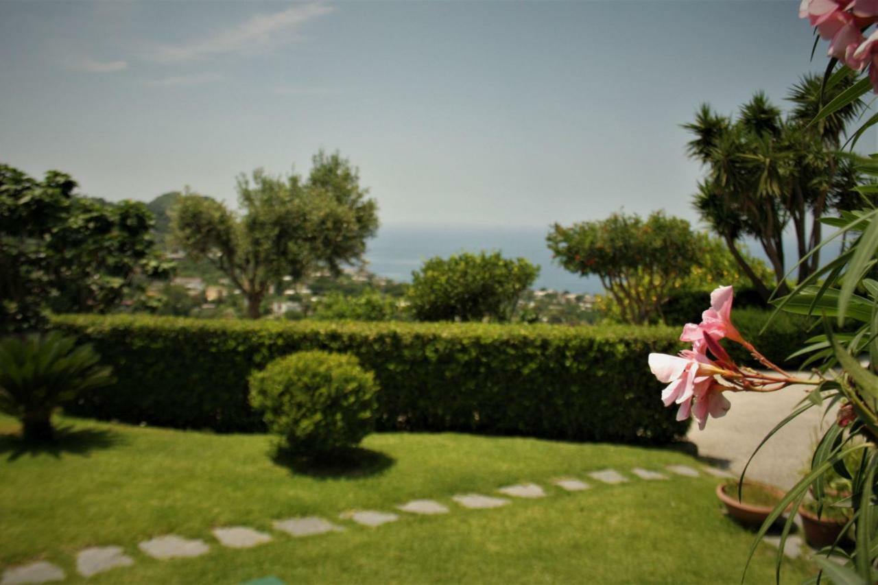 Casa Ischitana Leilighet Forio di Ischia Eksteriør bilde