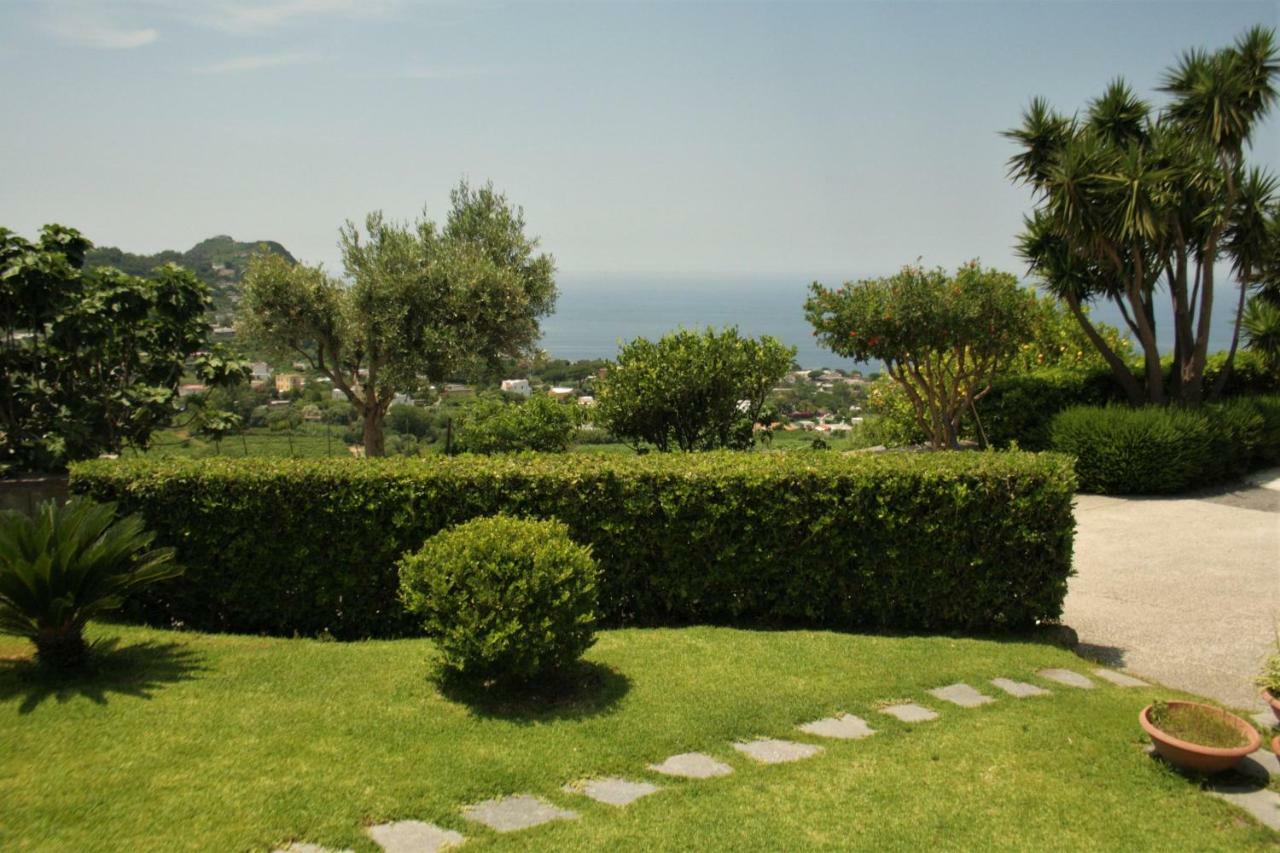 Casa Ischitana Leilighet Forio di Ischia Eksteriør bilde